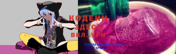 соль ск Кинешма