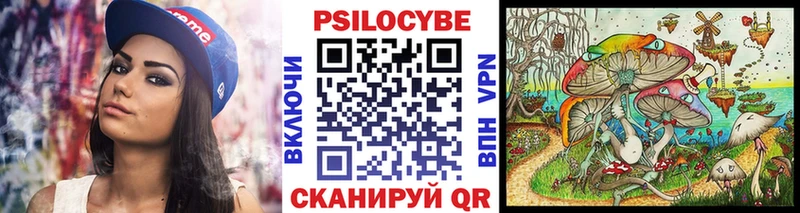 Купить где  Высоковск  Псилоцибиновые грибы Magic Shrooms 